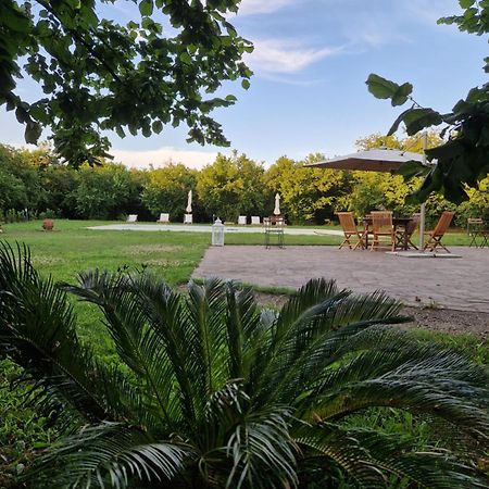 Agriturismo Terre Di Nelio Vignanello Luaran gambar